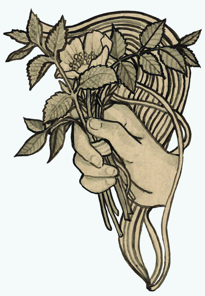 Illustration of hands holding flowers