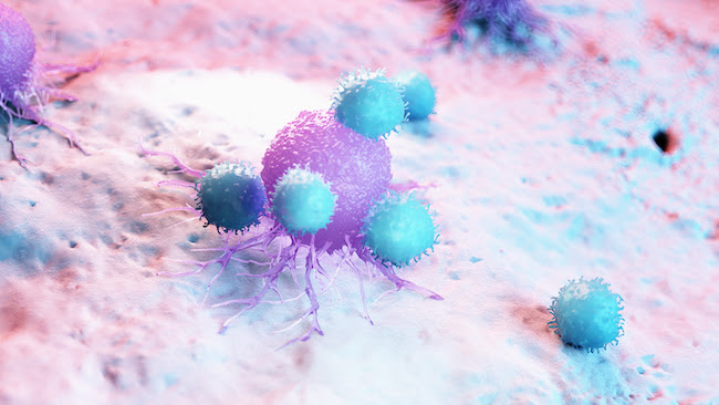 Anti-PD-1 cancer immunotherapies boost the body’s cancer-fighting T cells, but in many patients, suppressive Tfr cells bring that progress to a grinding halt.