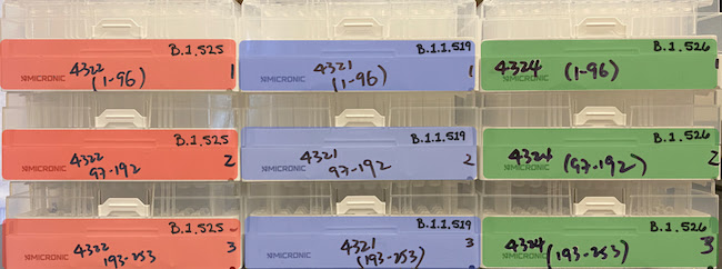 T cells from people who have recovered from COVID-19 or received the Moderna or Pfizer-BioNTech vaccines are still able to recognize several concerning SARS-CoV-2 variants. Credit: La Jolla Institute for Immunology.