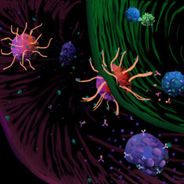 Digital painting of immune cells reacting to allergens