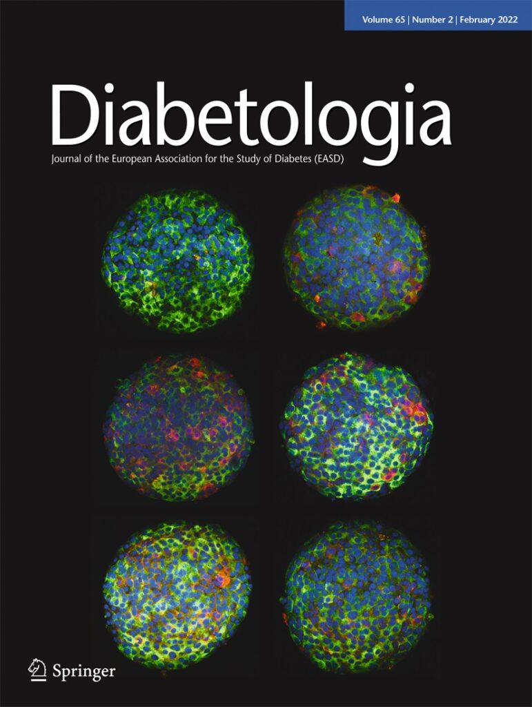 The February 2022 cover of the journal Diabetologia