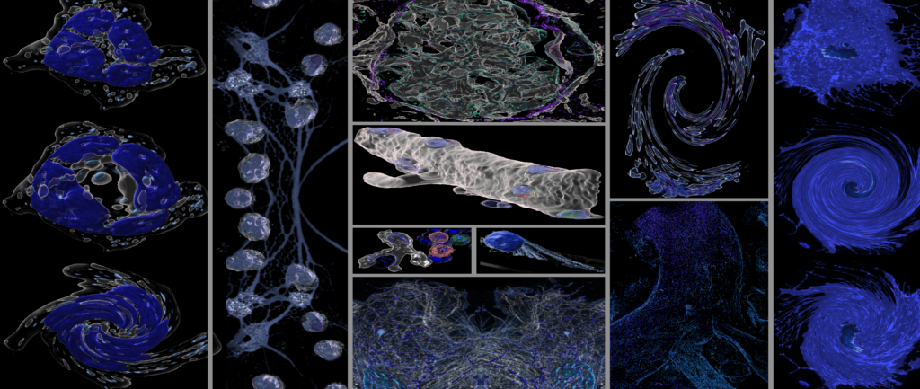 A collage of microscopy images