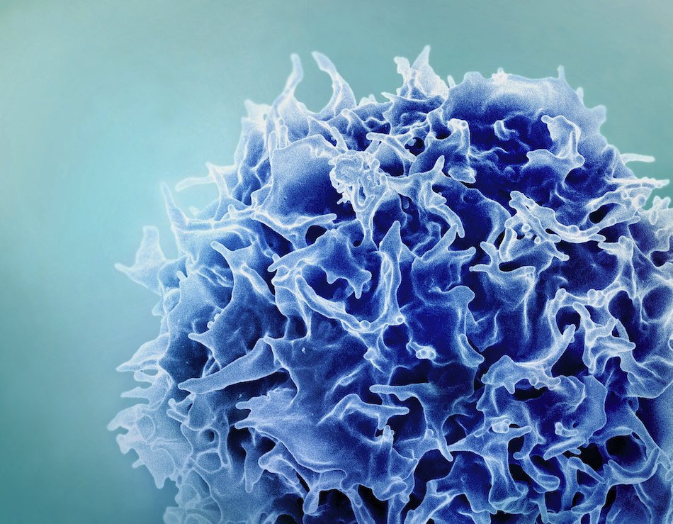 A high resolution image of a T cell. Colored dark blue for style. Light blue background.