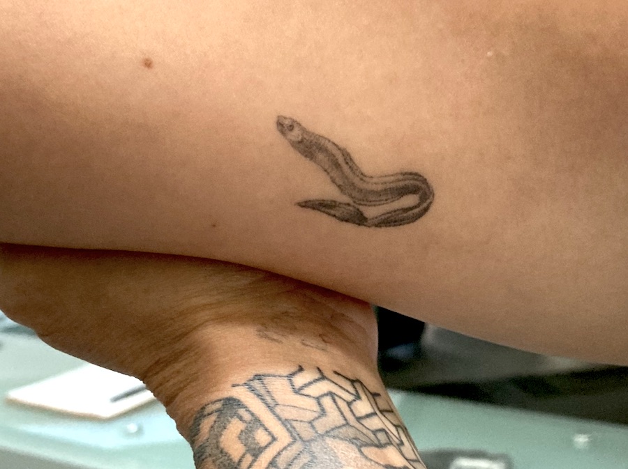 A small tattoo of an eel