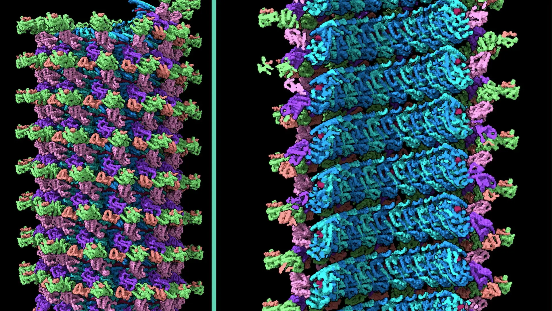Emerging Viruses: AIDS And Ebola 洋書 英語版 Emerging Viruses: AIDS And Ebola : Nature, Accident or