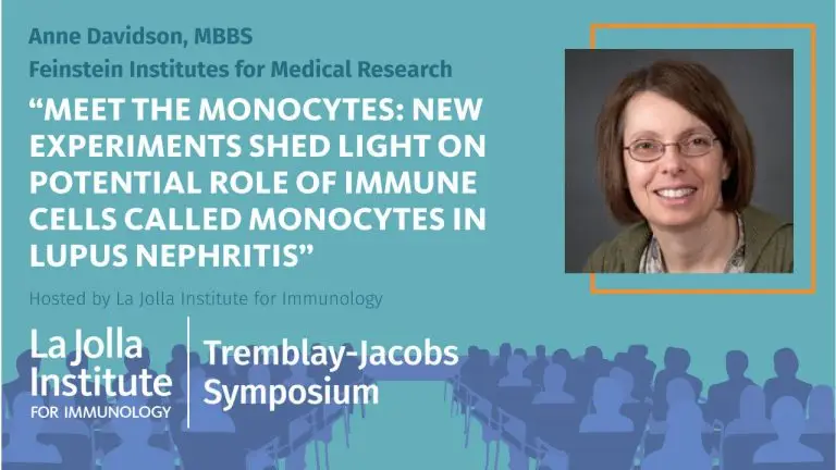 Graphic for an LJI-hosted seminar titled "Potential role of monocytes in lupus nephritis," presented by Anne Davidson, MBBS, of Feinstein Institutes for Medical Research