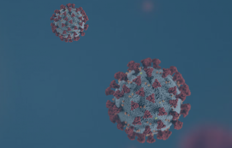 Computer generated image of two SARS-CoV-2 virus particles.