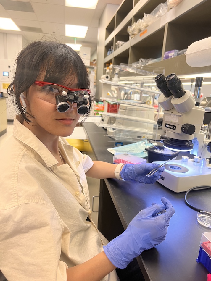Photo of Kathy Nguyen sitting by a microscope in an LJI lab. She is wearing a white lab coat and special glasses for microscopy work
