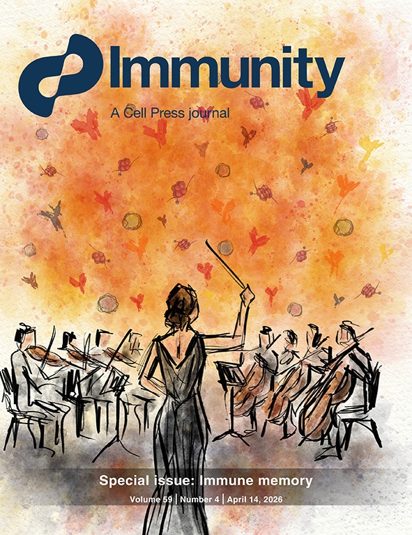 Illustration showing a conductor in front of a musical orchestra. The conductor is holding up a baton, and the orchestra is playing. Instead of musical notes, there are antibody structures and immune cells above them. 